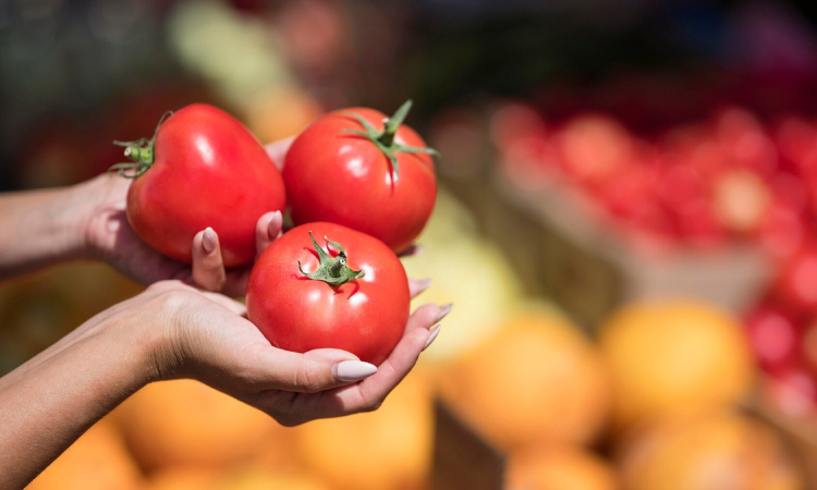 El tomate engorda