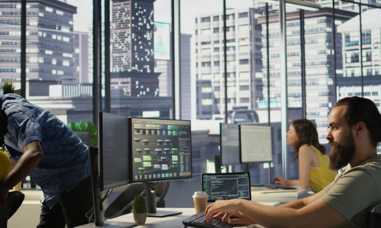 Desarrollo de software
