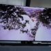 5 Smart TV de gama alta 2020